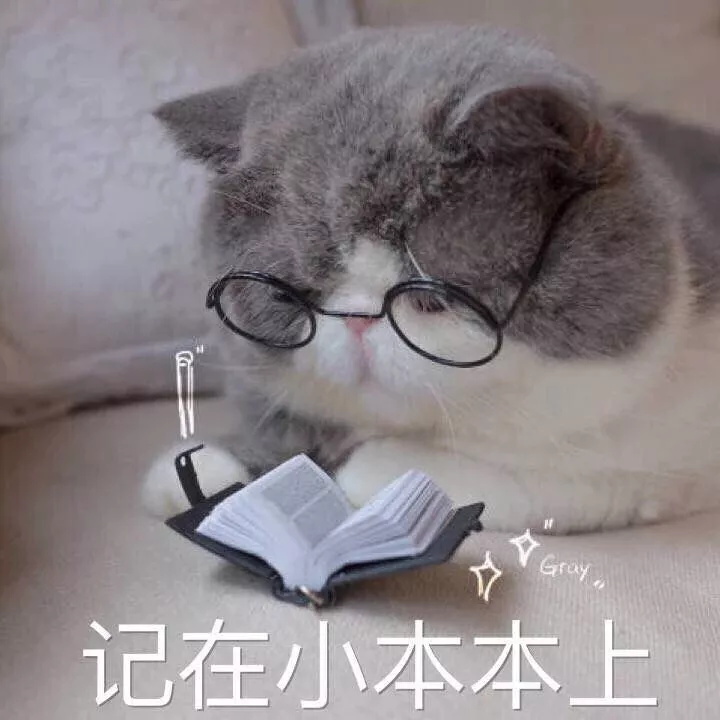 廣州積分入戶還有這些功能？你get到了嗎  