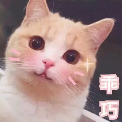 廣州個人也可以繳存公積金，滿一年可貸款買房！