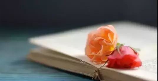孩子需要的不是 “被贊美”，而是 “被看見”