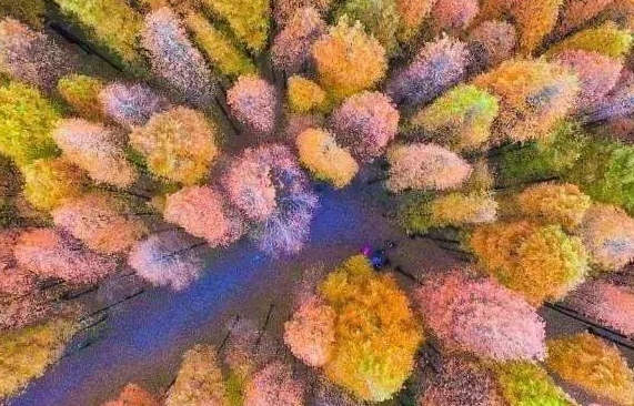 廣州人去這幾個省市景區(qū)門票半價甚至免費！