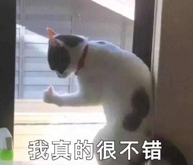 廣州的年輕人，你今天想辭職嗎？