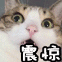 每月掏錢交社保,你真的了解社保嗎?你想知道的全在這！