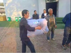 在冬季，這些瞬間讓人一秒變暖
